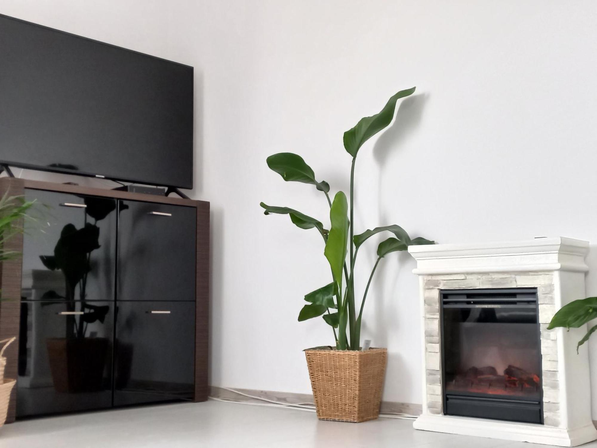 Apartament Beka Біла Підляська Екстер'єр фото